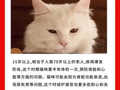 -爱妮康宠物医院·干细胞免疫细胞·肿瘤·心脏(张江店)