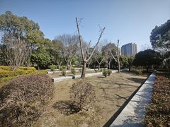 -南翔镇银翔湖公园