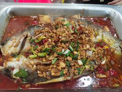-黑猫馋纸包鱼(阳光店)