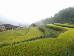 -公盂村