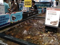 水产区-盒马鲜生(曜一城店)