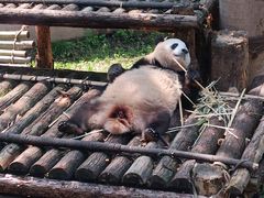 -杭州动物园