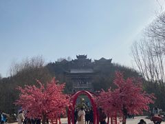 -渭南桃花源民俗文化园