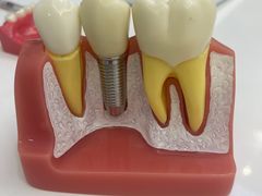 -牙博士口腔品牌连锁(杨浦店)