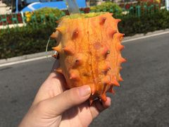 -水果立方果然鲜(升平路店)