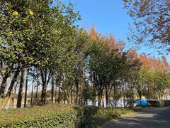 -梁鸿国家湿地公园