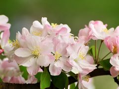 -海棠花溪(元大都城垣遗址公园)