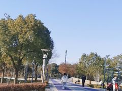 -南翔镇银翔湖公园