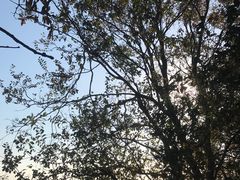-紫金山索道-售票处