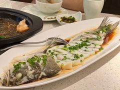 -船歌·鱼水饺青岛菜(金狮广场店)