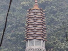 -深圳仙湖植物园