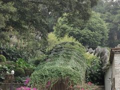 -乌山风景区