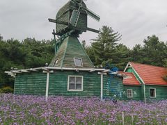 -沈阳植物园