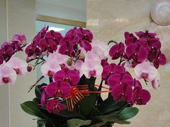 -佛山中大口腔医院·市二级口腔专科医院