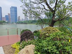-后襄河公园
