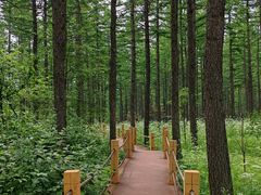 -塞罕坝国家级自然保护区