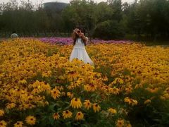 -长春公园(普阳街道)