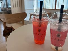 -Let's go狗咖·猫咖·奶狗·桌游(春熙路IFS店)
