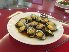 -新锦鸿(演达店)
