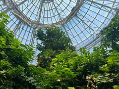-郑州植物园