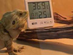 -喵园·猫主题咖啡厅·撸猫·猫咖(国贸店)