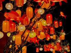 -龙湖星悦荟(颐和店)