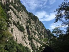 -青峰峡国家森林公园