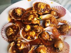 蚝油扇贝-华春餐馆(鱼山路店)