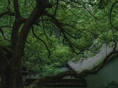 -虎跑公园