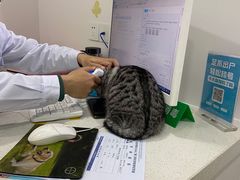 -佳雯宠物医院·皮肤科·内外科(春晓路分院)