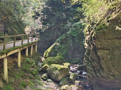 -牛背梁国家森林公园
