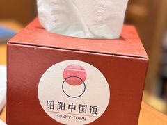 -阳阳中国饭(北京荟聚店)