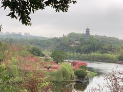 -重庆园博园
