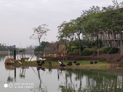-琅岐红光湖公园
