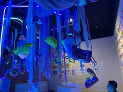 -证大喜玛拉雅中心