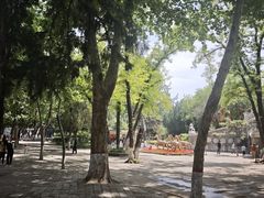 -保定市动物园