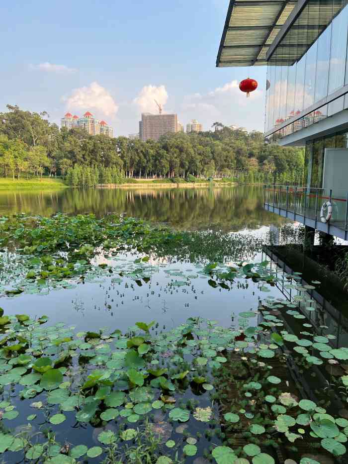 鹿鸣酒家-"在麓湖闲逛到过了饭点,这个时分还是需要等.