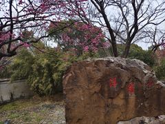 -无锡梅园公园