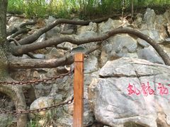 -皇藏峪国家森林公园