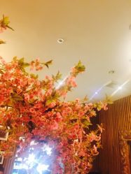 -红人馆造型世爵国际