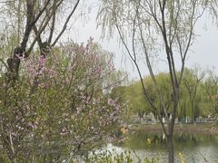 -阳澄湖半岛旅游度假区