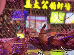 -凤城·食都