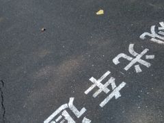 -合肥滨湖国家森林公园