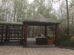 -合肥滨湖国家森林公园