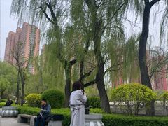 -迎泽公园