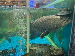 -聚福宝合苑食府(南头镇店)