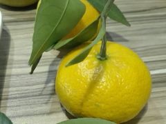 -感恩心素食馆(百世广场店)