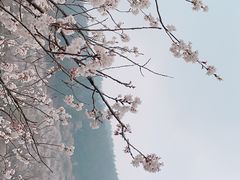 -崂山九水游览区