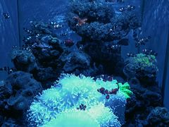 -多彩贵州城极地海洋世界