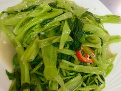 -富来美食(成发大厦店)